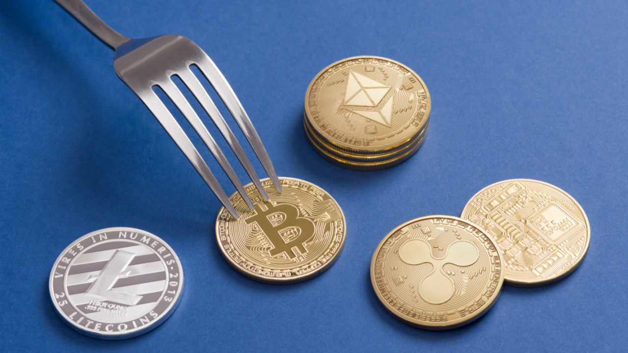 Hard Forks
